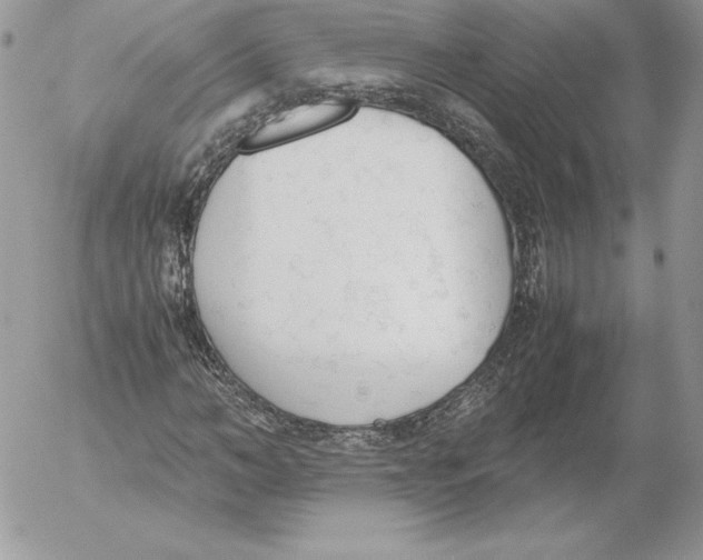 X0000052610966200507221655