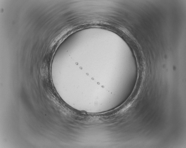 X0000052610969200507221655