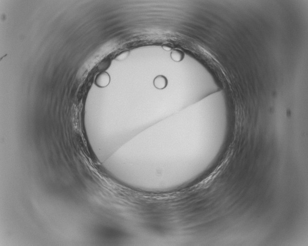 X0000052610970200507221655