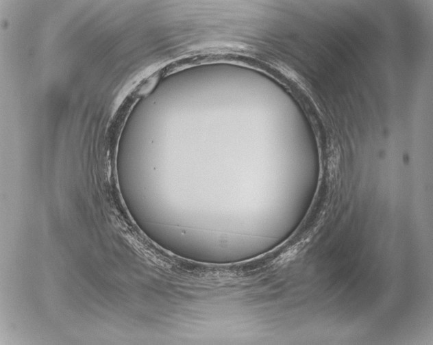 X0000052610973200507221655