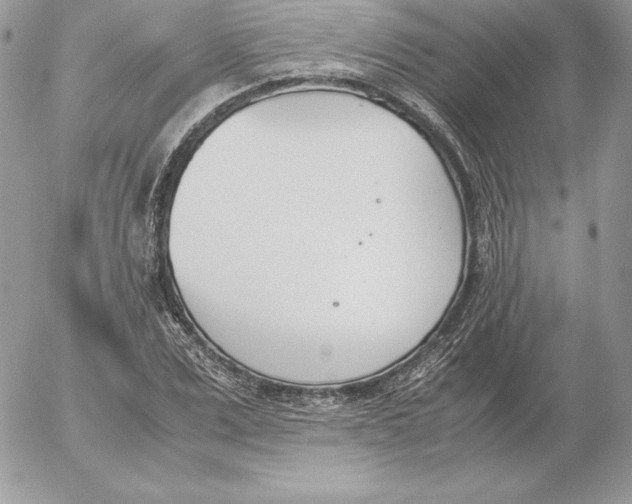 X0000052610975200507221655