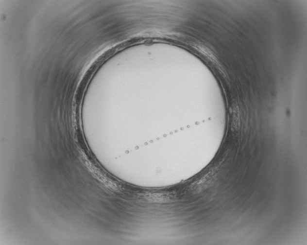 X0000052610976200507221655