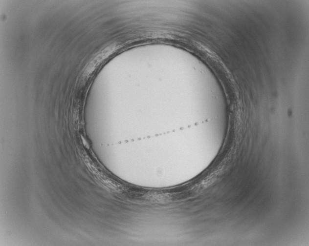 X0000052610977200507221655