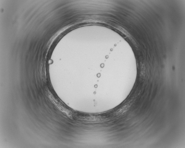 X0000052610980200507221655