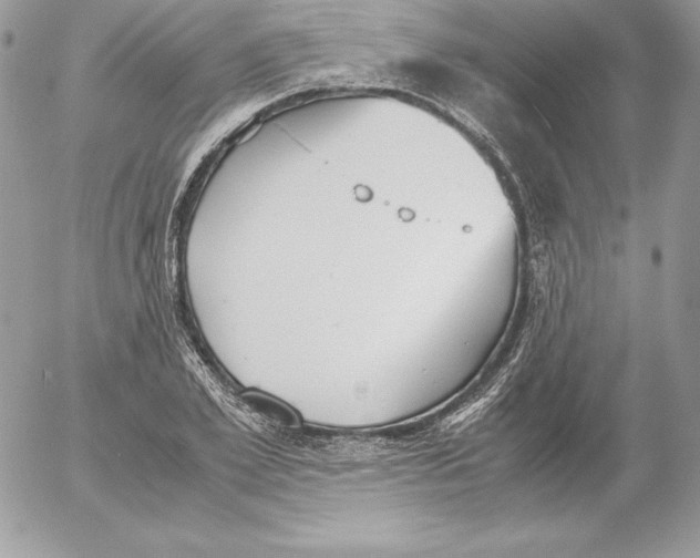 X0000052610981200507221655