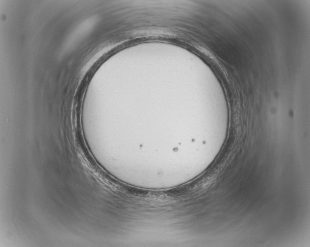 X0000052610983200507221655