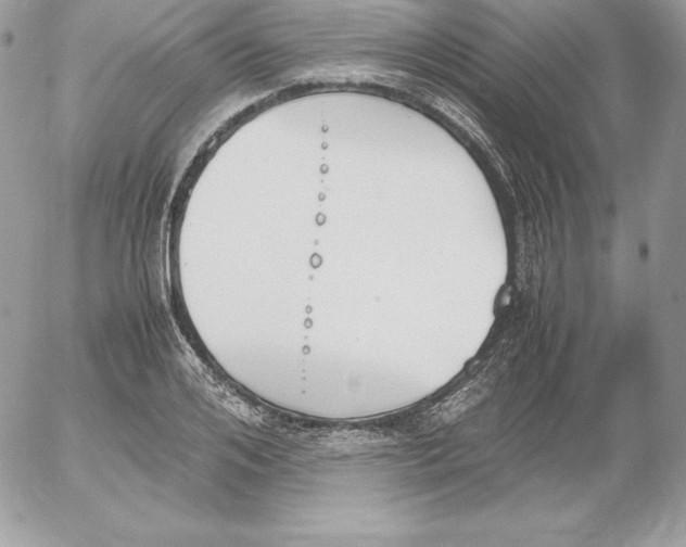 X0000052610984200507221655