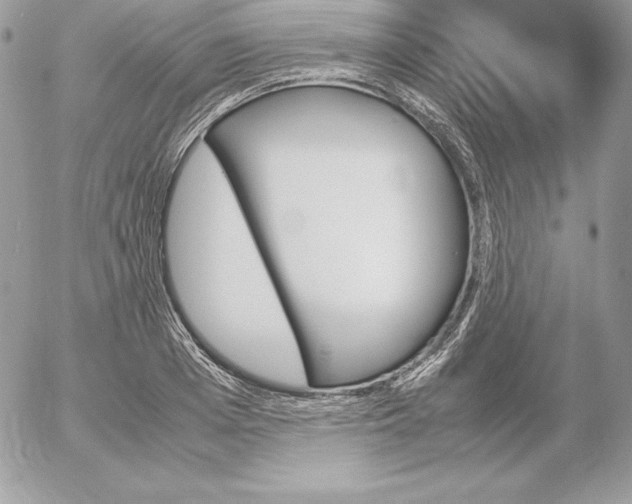 X0000052610985200507221655