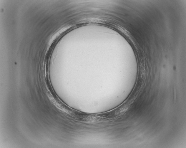 X0000052610987200507221655