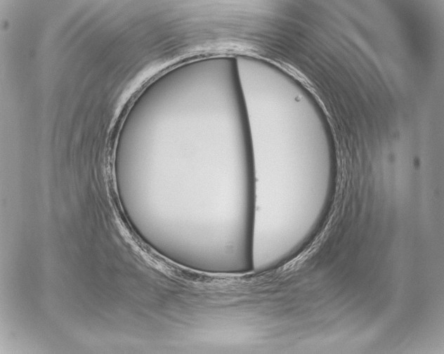 X0000052610989200507221655