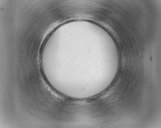 X0000052610990200507221655