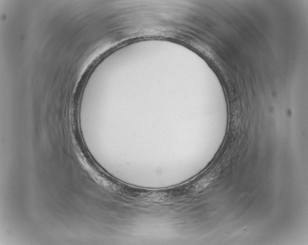 X0000052610991200507221655