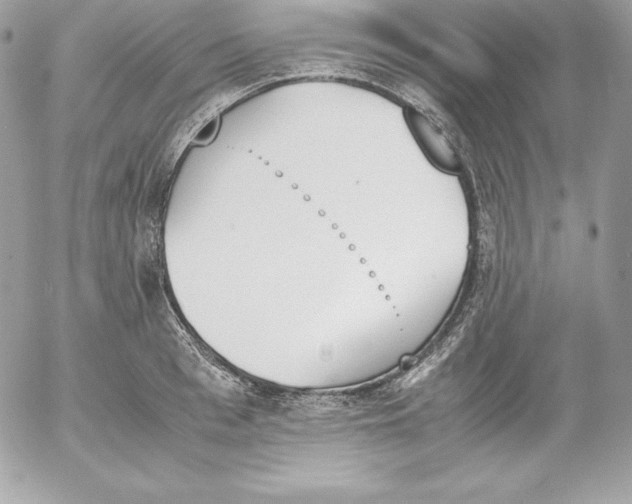 X0000052610993200507221654