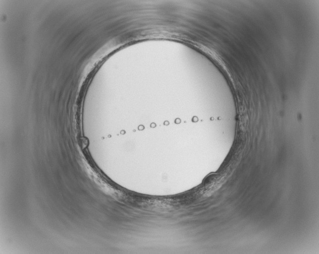 X0000052610995200507221654