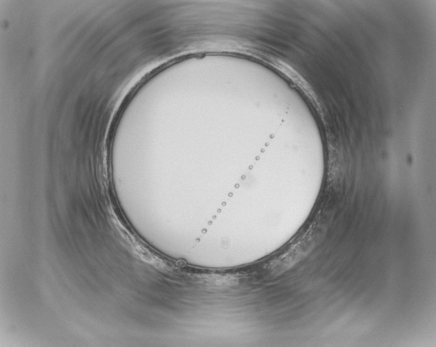 X0000052610996200507221654