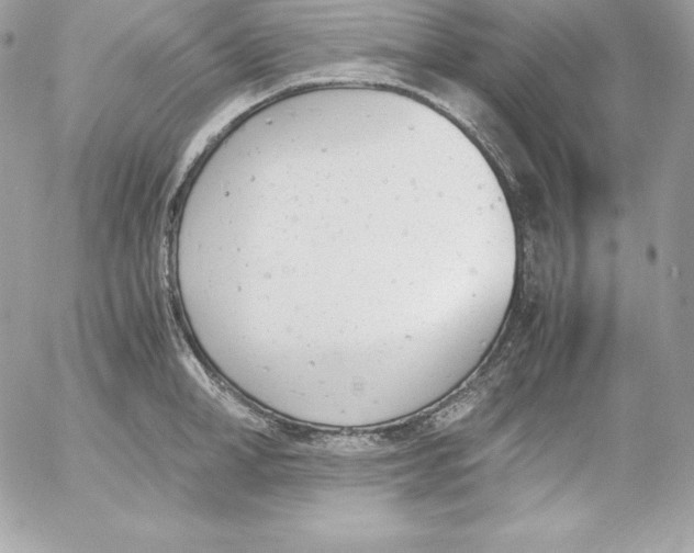 X0000052610998200507221654