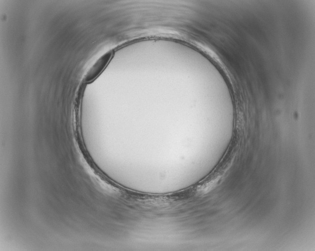 X0000052610999200507221654