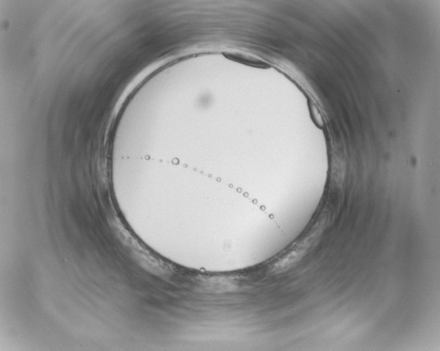 X0000052611004200507221654