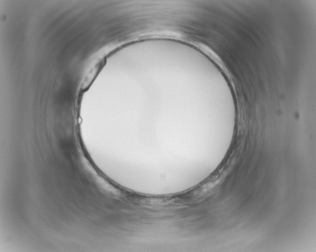 X0000052611005200507221654