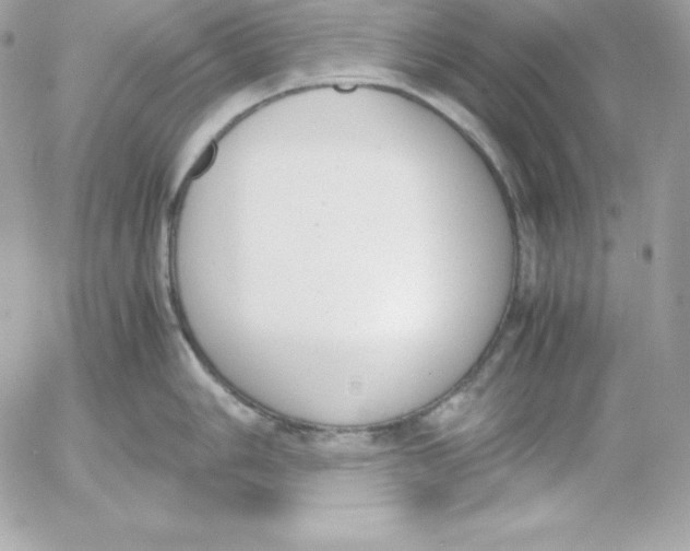 X0000052611006200507221654