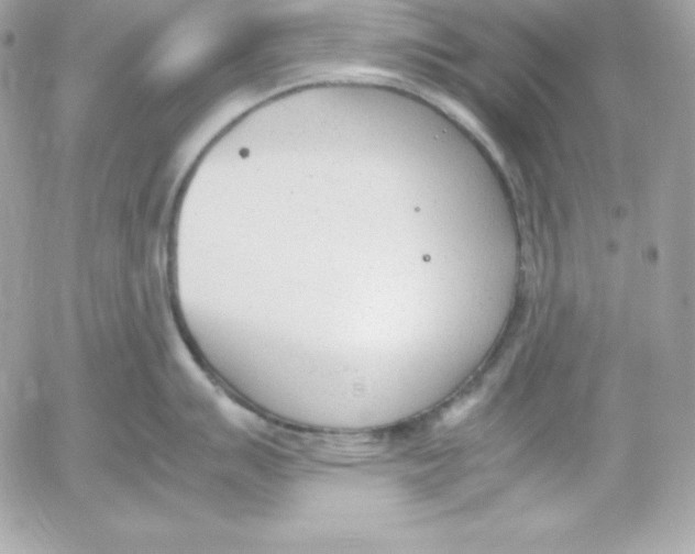 X0000052611007200507221654