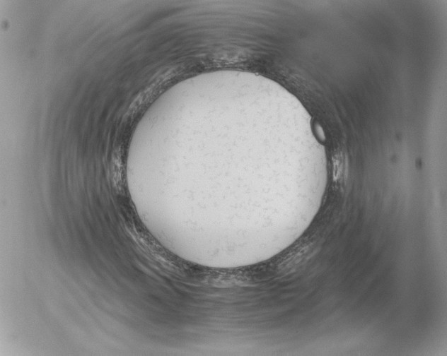 X0000052611011200507221653