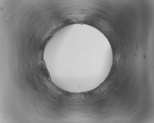 X0000052611012200507221653