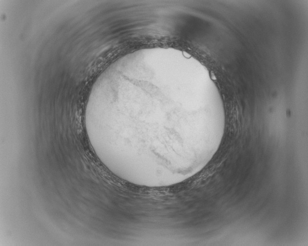 X0000052611013200507221654