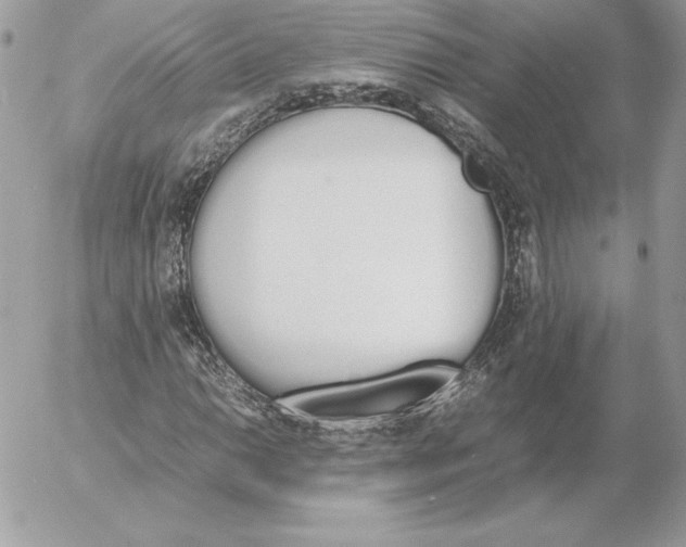 X0000052611014200507221654