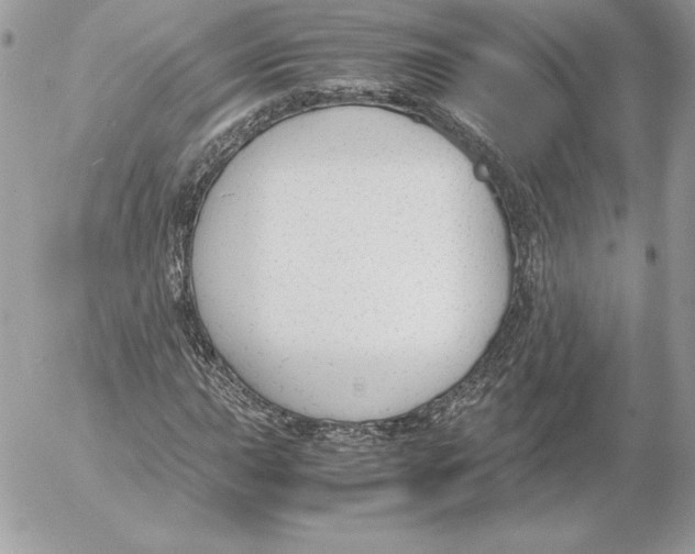 X0000052611015200507221654