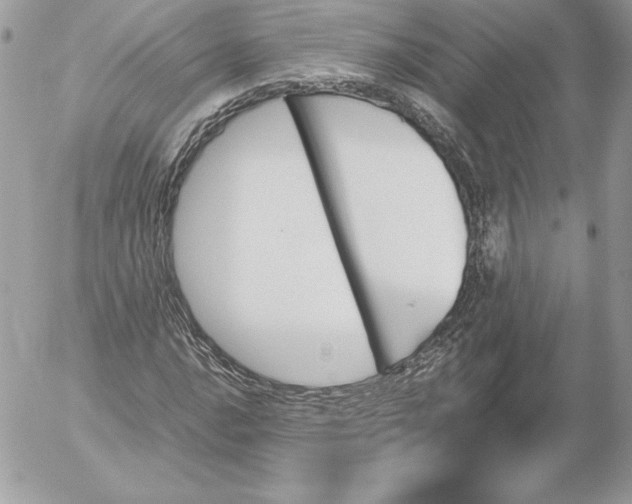 X0000052611016200507221654