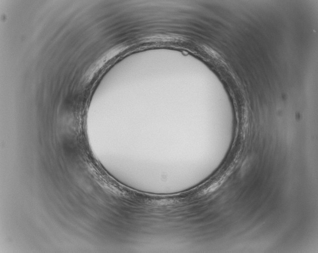 X0000052611017200507221654