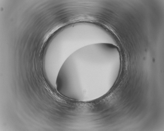 X0000052611018200507221654