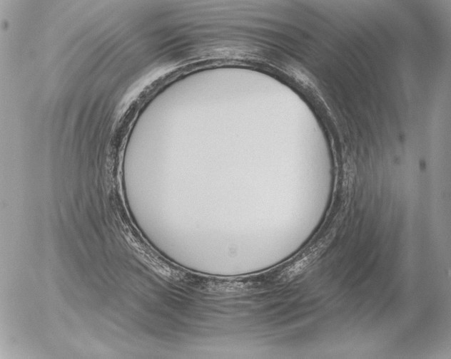 X0000052611019200507221654