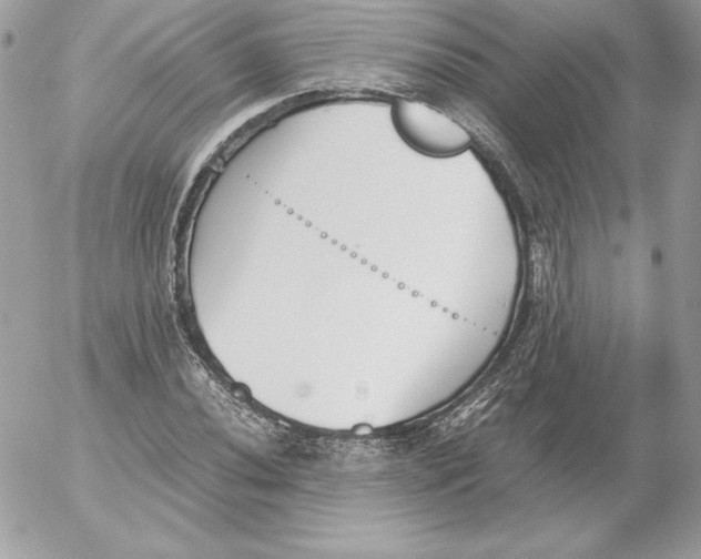 X0000052611020200507221654