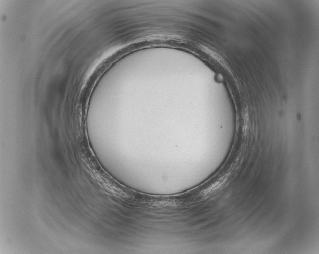 X0000052611021200507221654