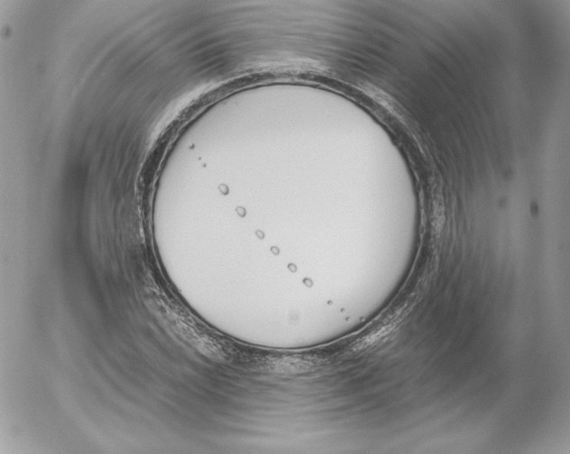 X0000052611022200507221654