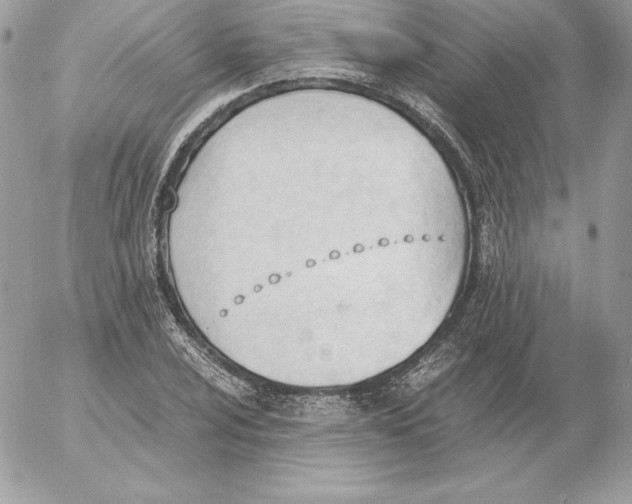 X0000052611024200507221654