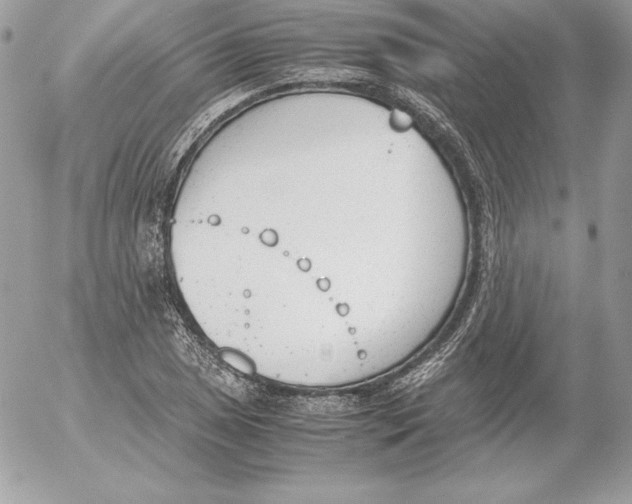 X0000052611025200507221654