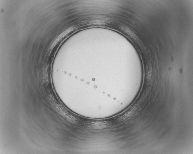 X0000052611026200507221654