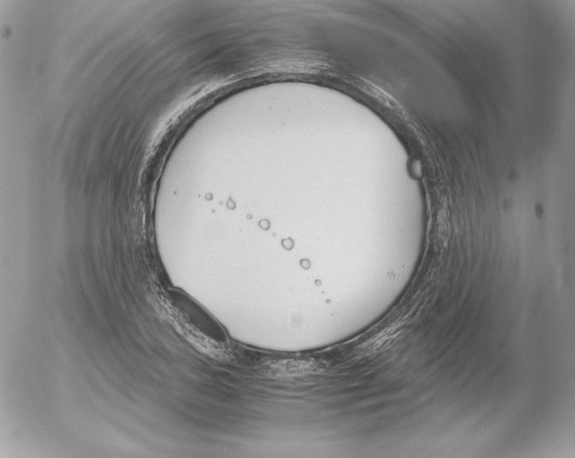 X0000052611027200507221654