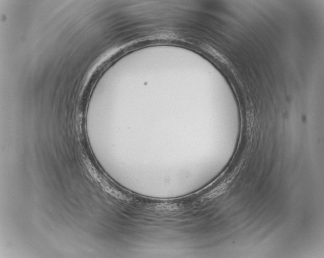 X0000052611029200507221654