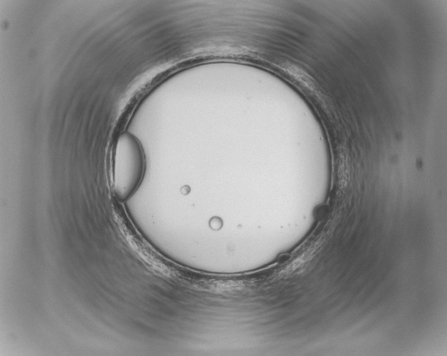 X0000052611030200507221654