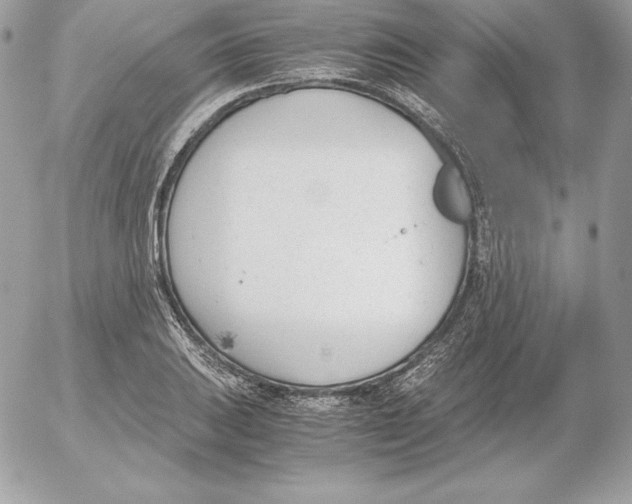 X0000052611031200507221654