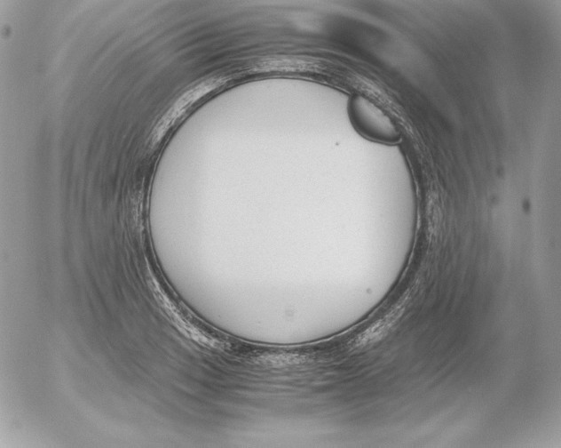 X0000052611033200507221654