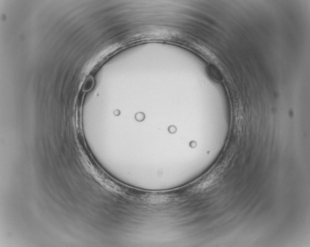 X0000052611034200507221654