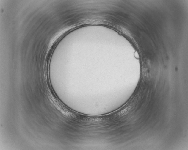 X0000052611035200507221654