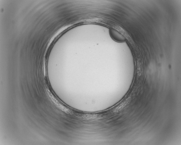 X0000052611036200507221654