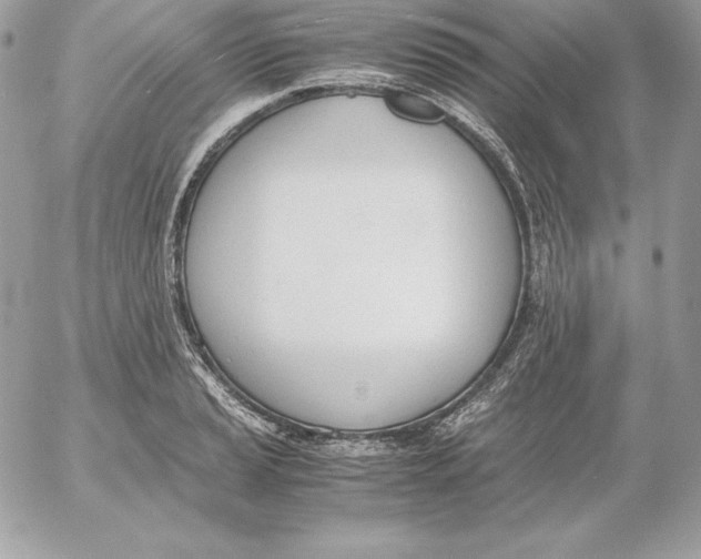 X0000052611037200507221654