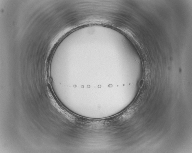 X0000052611038200507221654